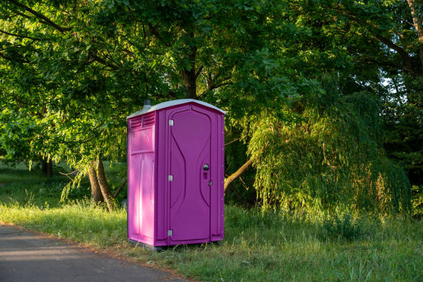 Portable Toilet Options We Offer in Havana, IL